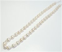 Collana Stocco Gioielli Donna in Perle Perla FIPB - FIPB